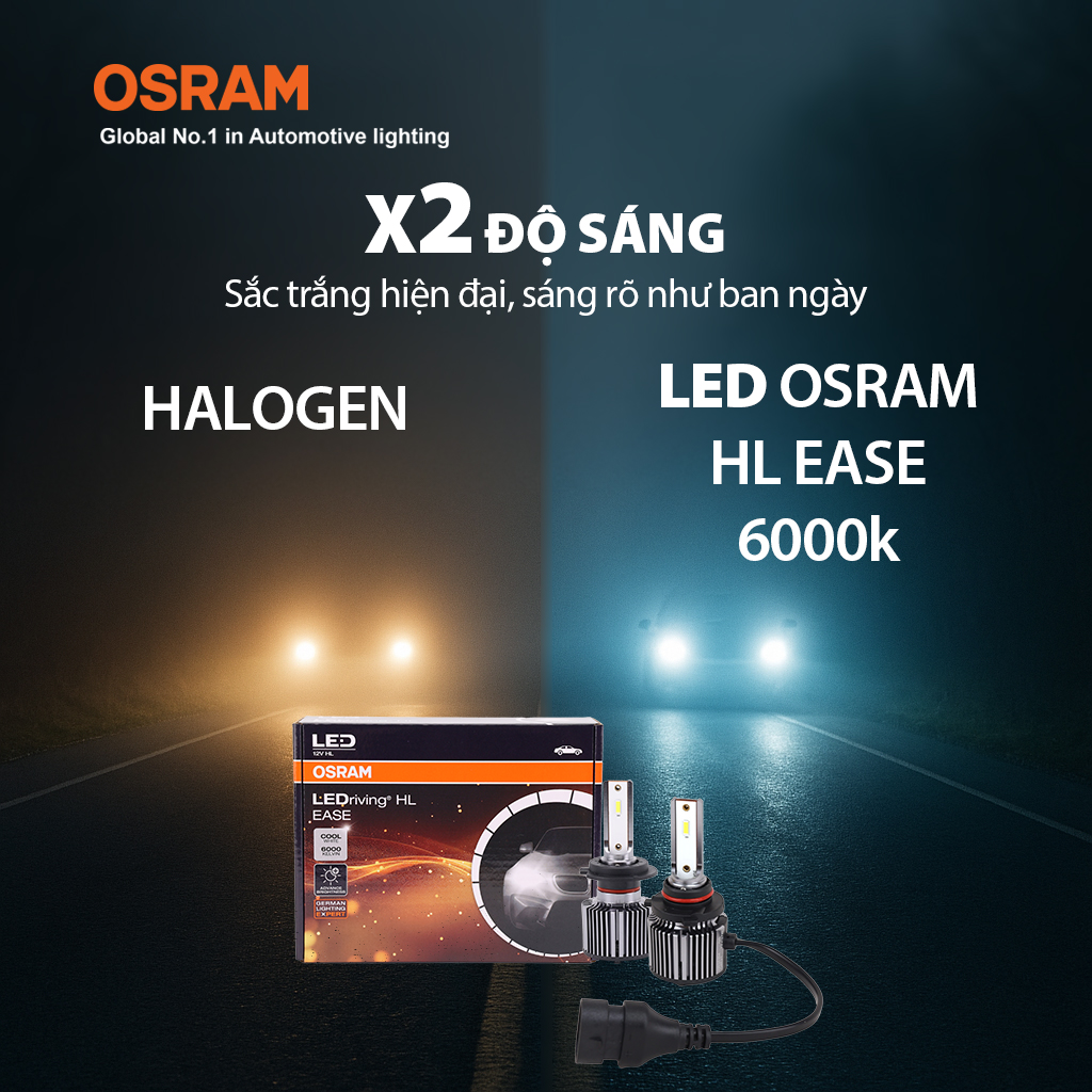 Bóng Led Grass H11-H8-H16 F6211CW 12V 30W 6000K 2 bóng/hộp Hiệu Osram