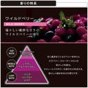 Dầu thơm BLANG LIQUID EMOTIONALLY WILD BERRY L2022 160ml lam