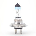 Bóng Halogen Tăng Sáng 130% H7 12V 55W N499EL1-2SCB Hiệu Neolux