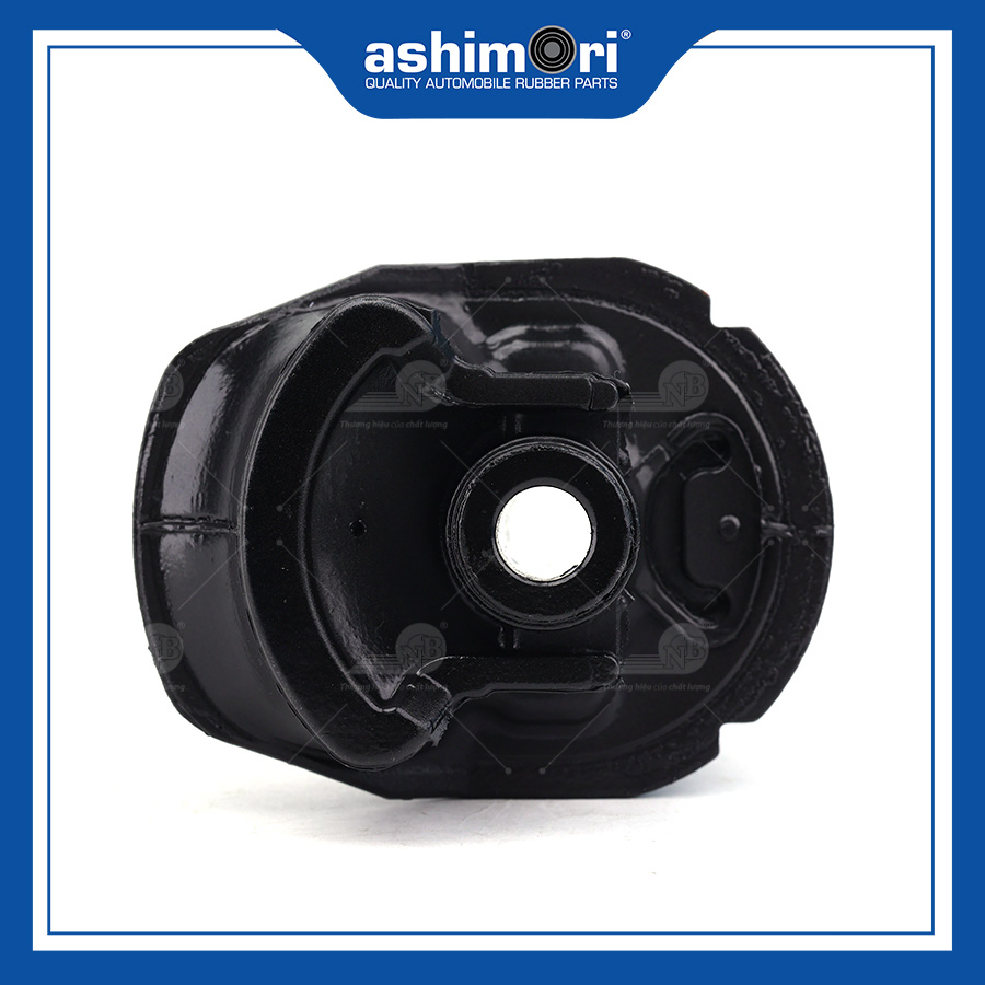 Cao su Cầu sau SBHTY-20020/OEM No.48725-12580