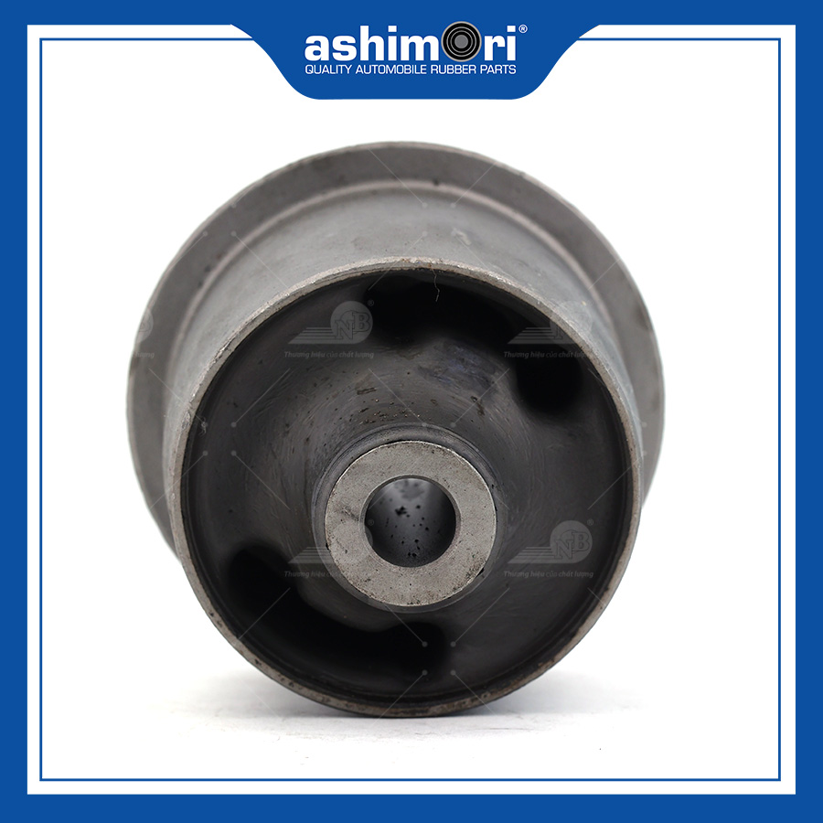 Cao su Cầu sau SBHTY-20318/OEM No.48725-52060