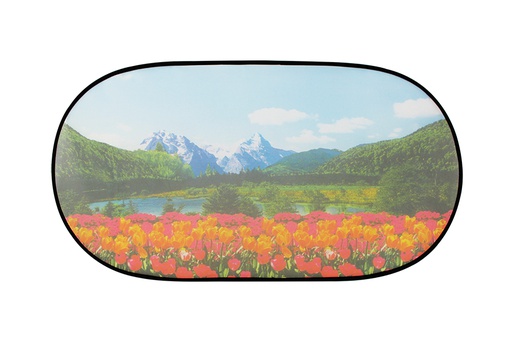 [CNLXR010NB] CAR SUNSHADE LX-R010 50*100CM